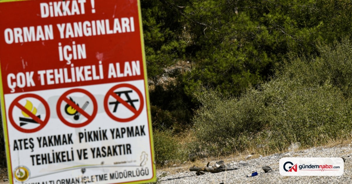 Antalya'da yasaklara rağmen ormanlık alanda ateş yakıldı