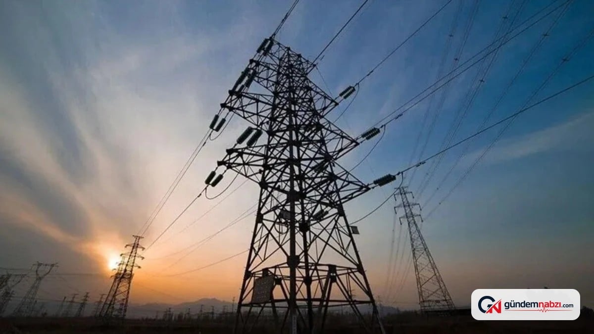 Almanya'da elektrik fiyatlarındaki artış AfD'ye desteği artırdı
