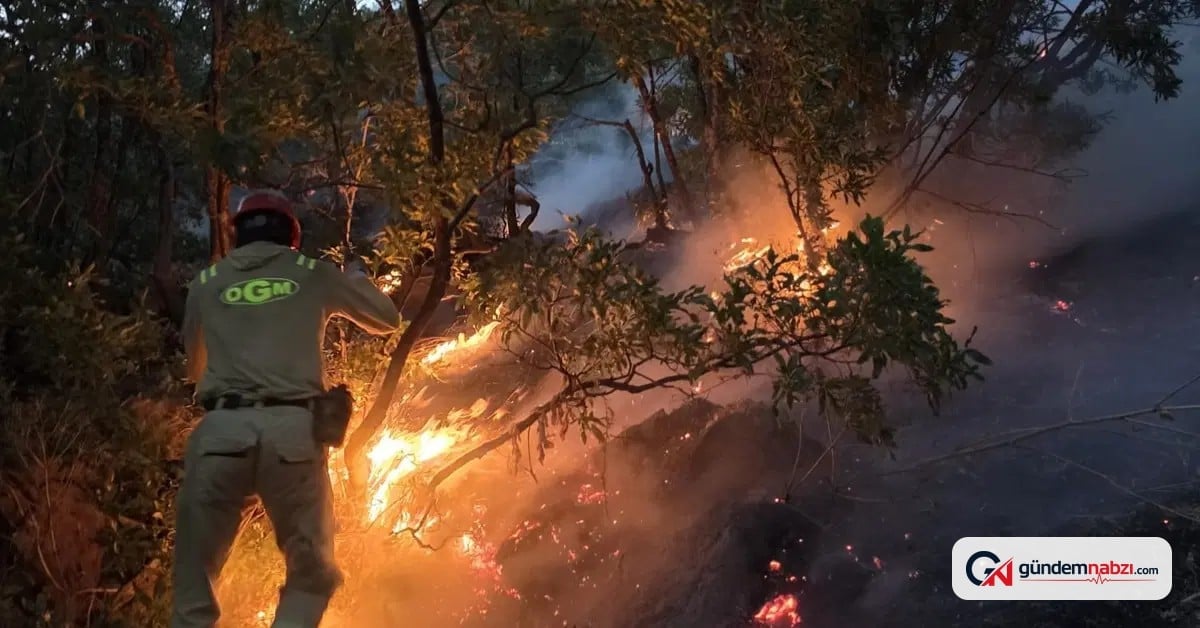 Siirt'te 5 ayrı noktada orman ve arazi yangını çıktı
