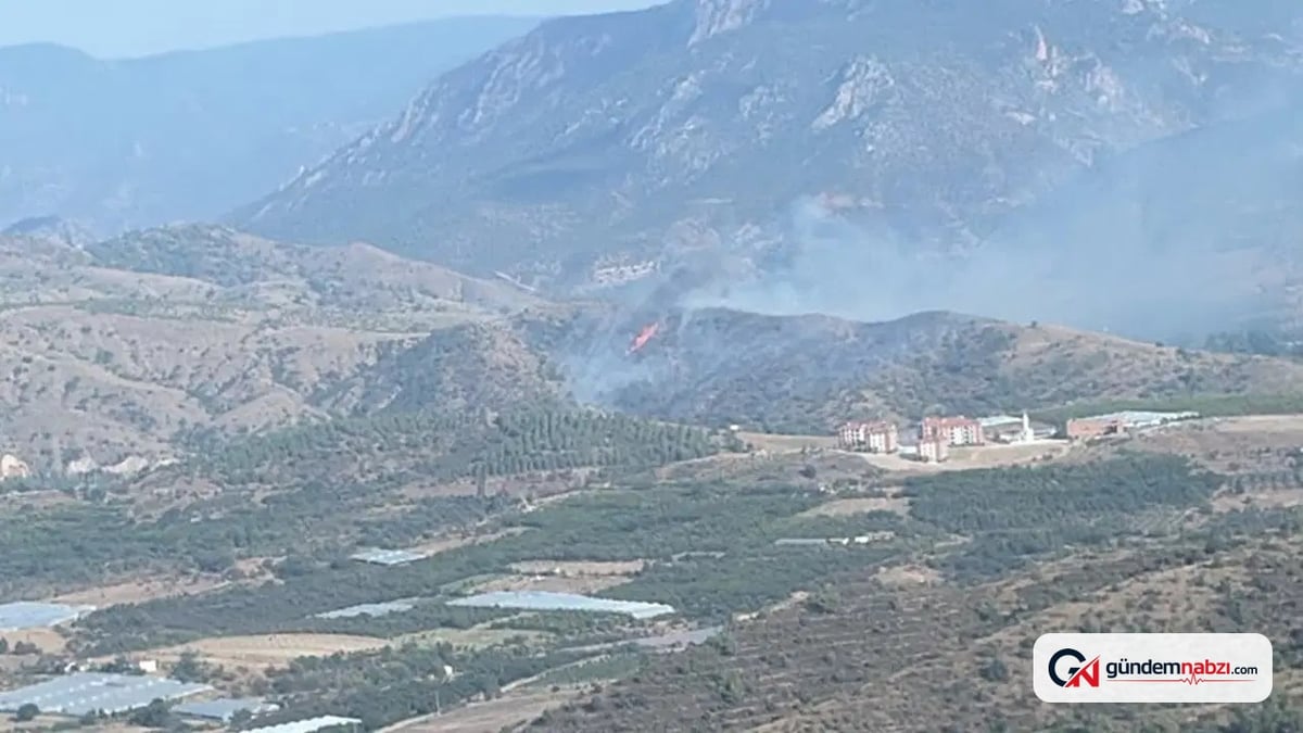Bilecik'te orman yangını çıktı