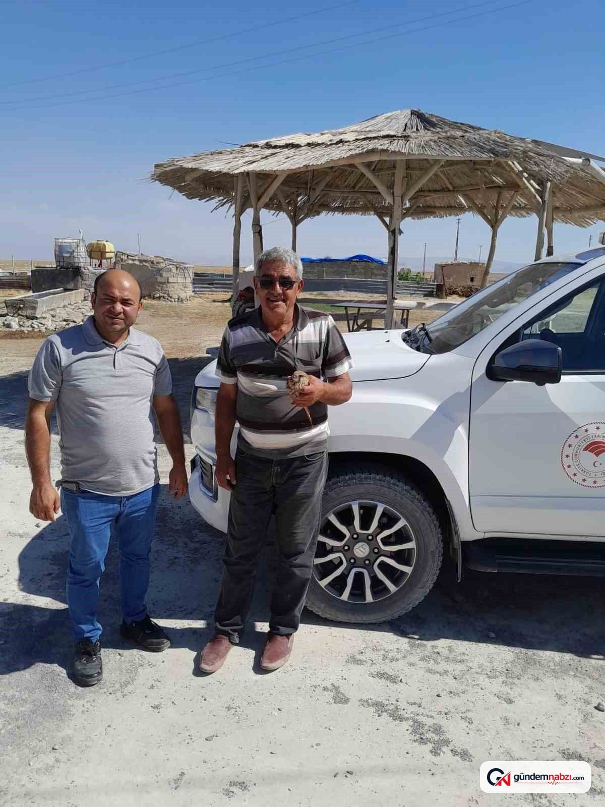 Konya'da yaralı bulunan kızıl şahin koruma altına alındı