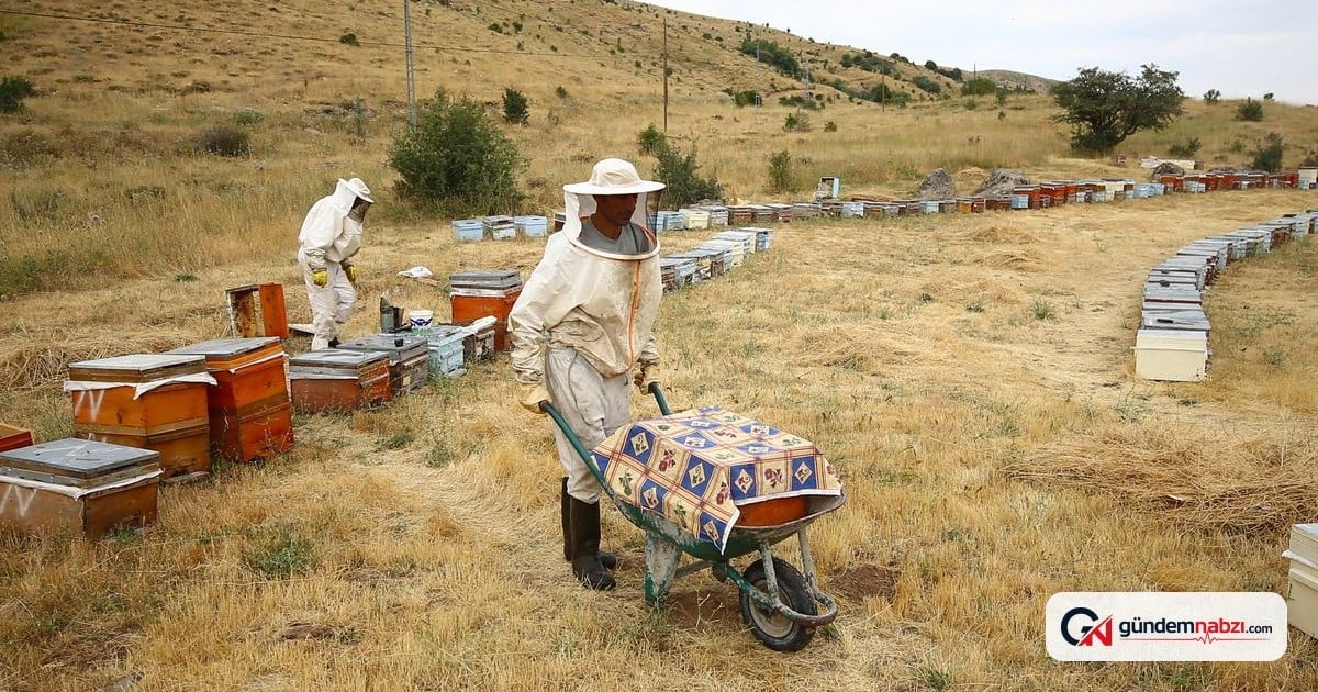 Bingöl'ün kardeşleri 26 yıldır AB tescilli bal üretiyor