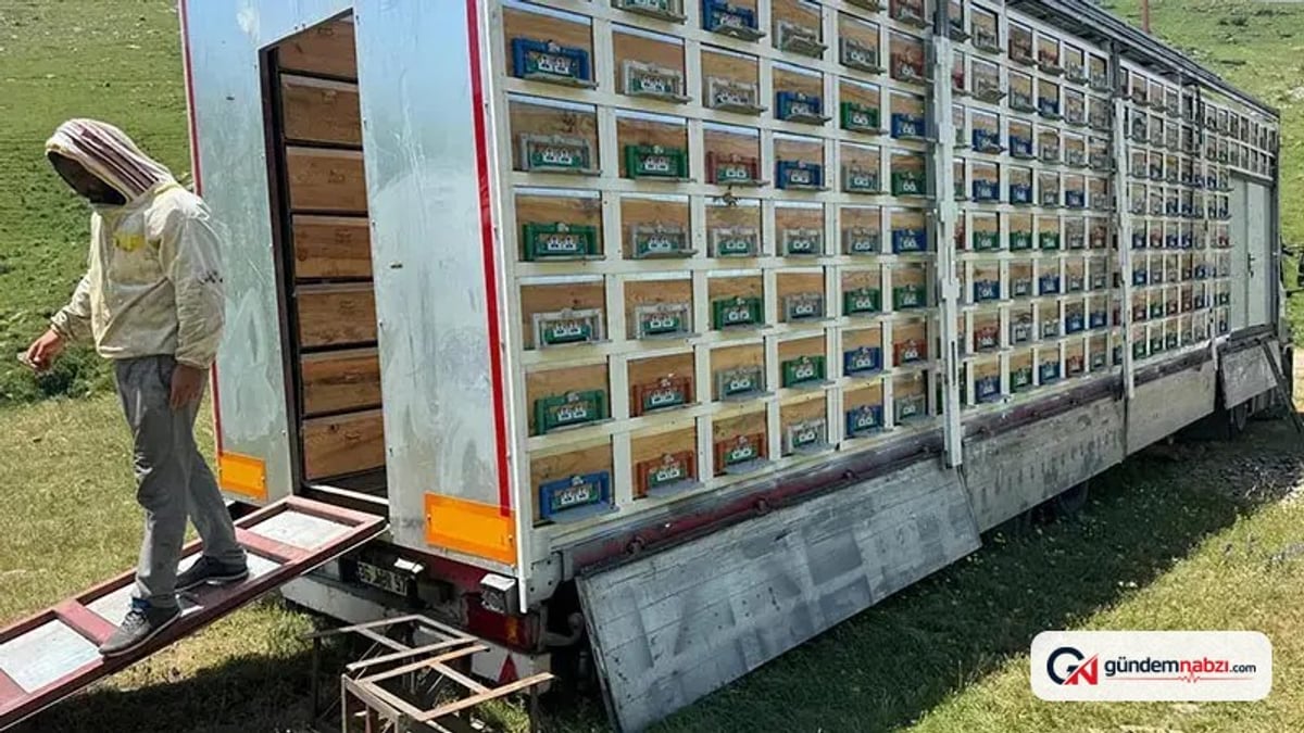 TIR dorsesini 340 kovanlık mobil bal tesisine dönüştürdü