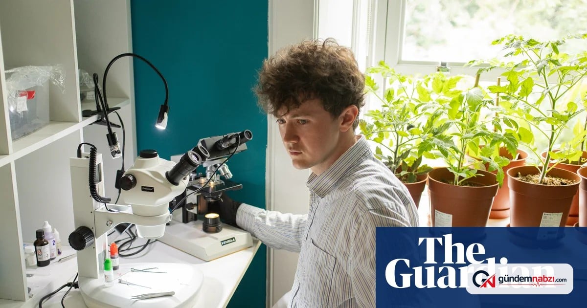 Edinburg'da dışkı üstünde mantar üreten genç sosyal medyanın ilgi odağı