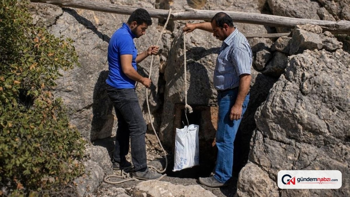 Erzincan'da buz mağaralarında 20 ton peynir saklanıyor