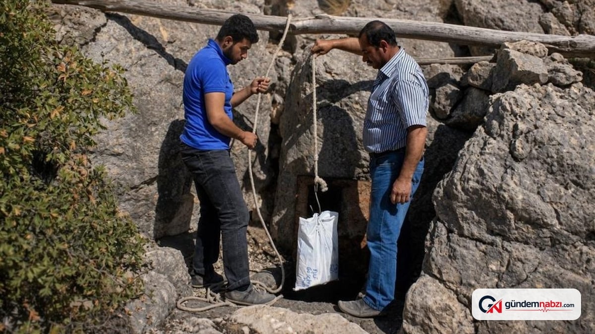 Erzincan'da buz mağaralarında 20 ton peynir saklanıyor
