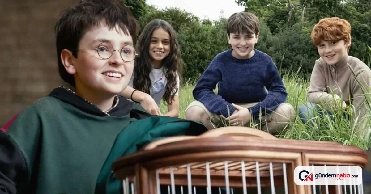 Harry Potter dizisinde Gilderoy Lockhart rolü için anlaşıldı