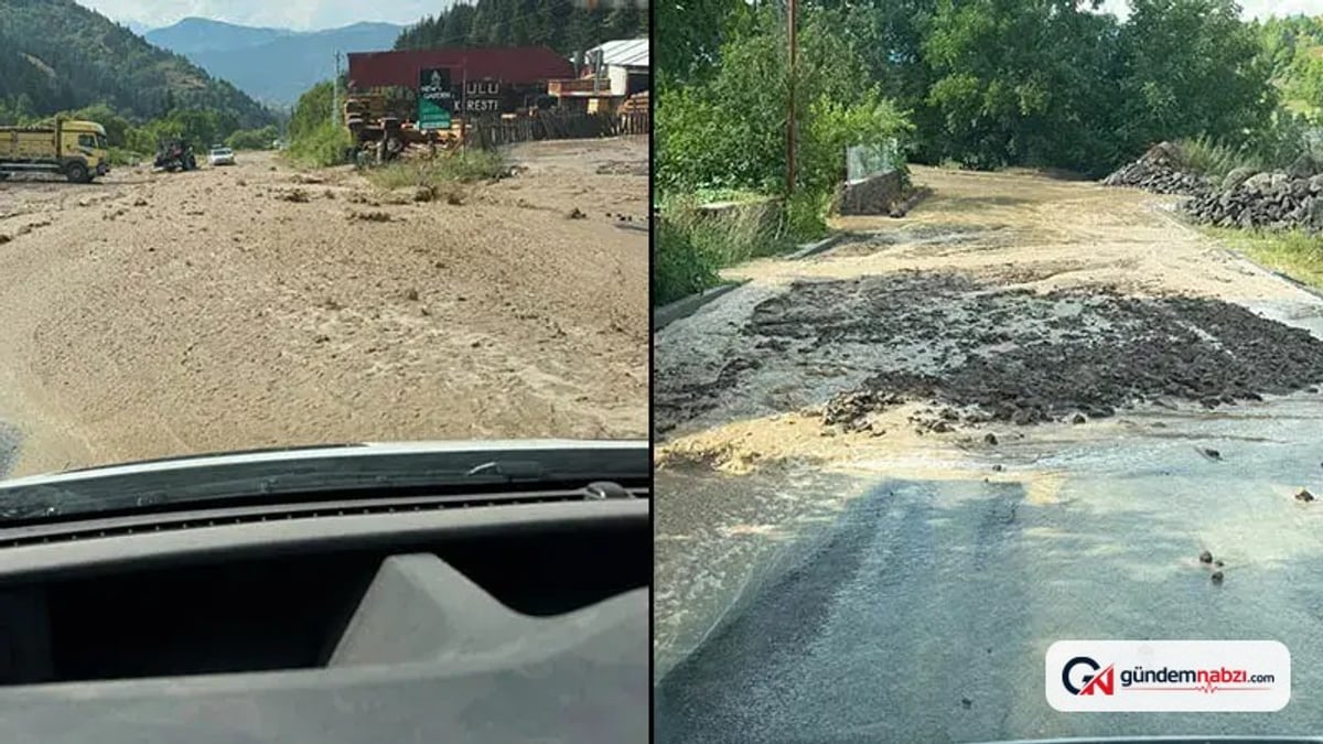 Artvin'de sağanak ulaşımı aksattı