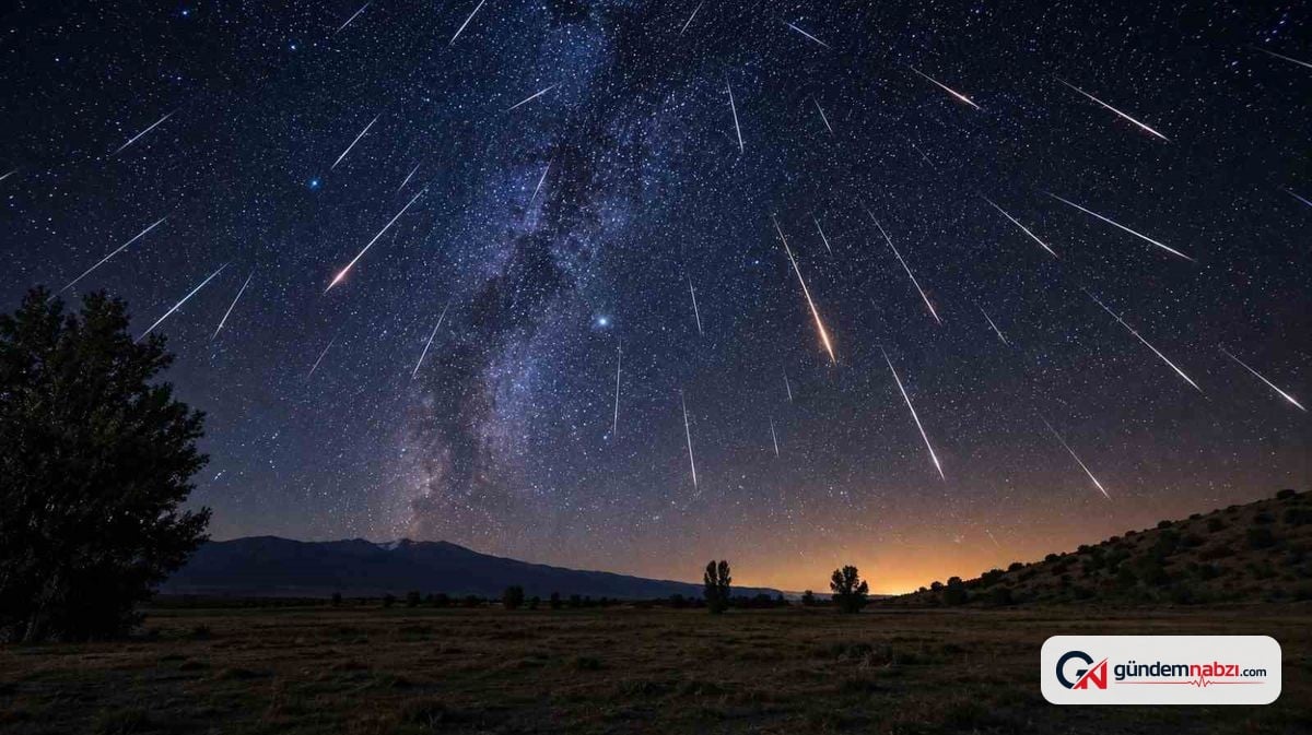 Erzincan'da Perseid meteor yağmuru görsel şölen sundu