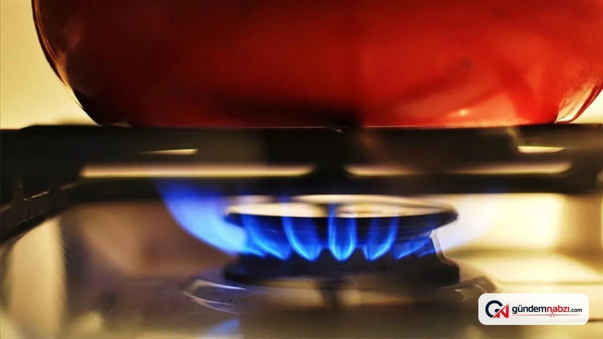 EPDK doğal gaz dağıtımında ortak standartları belirledi