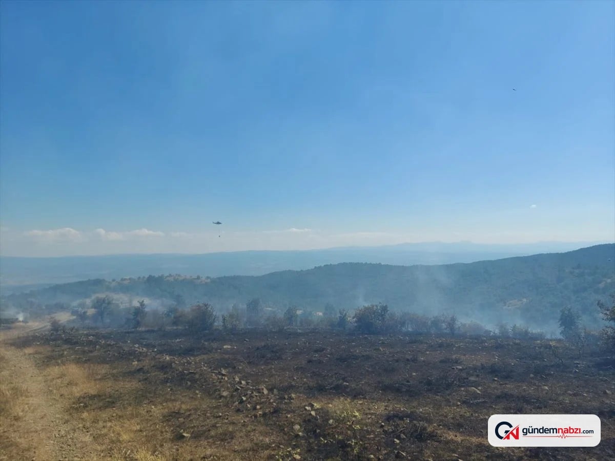 Kastamonu'da orman yangını kontrol altına alındı