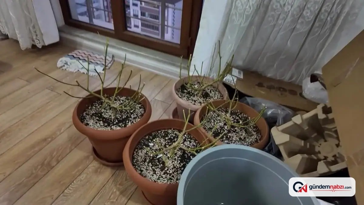 Kastamonu'da uyuşturucu imalatı yapan M.Ç. tutuklandı