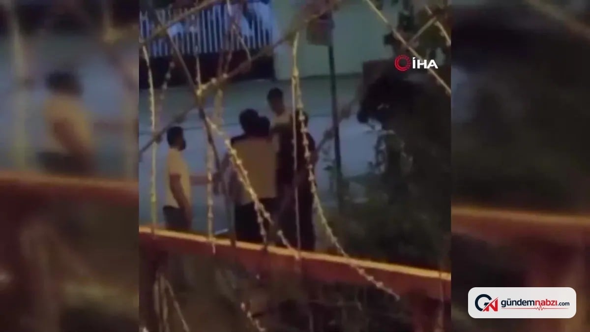 Arnavutköy'de bir kişi ata saldırdı, atın inlemeleri duyuldu