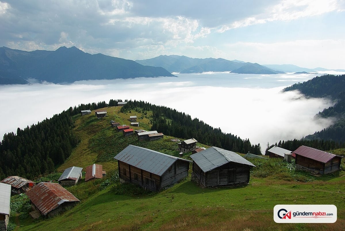 Pokut Yaylası’nda yangında bir işletme tamamen yandı