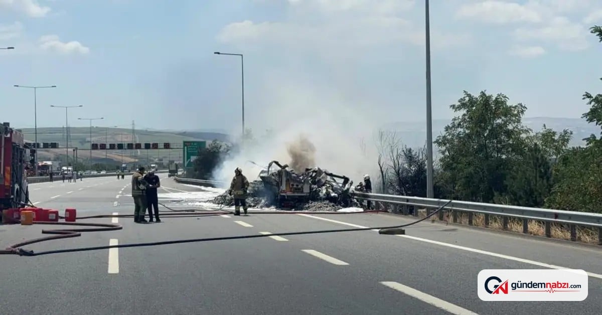 Kuzey Marmara Otoyolu'nda TIR Yangını tarım arazisine sıçradı