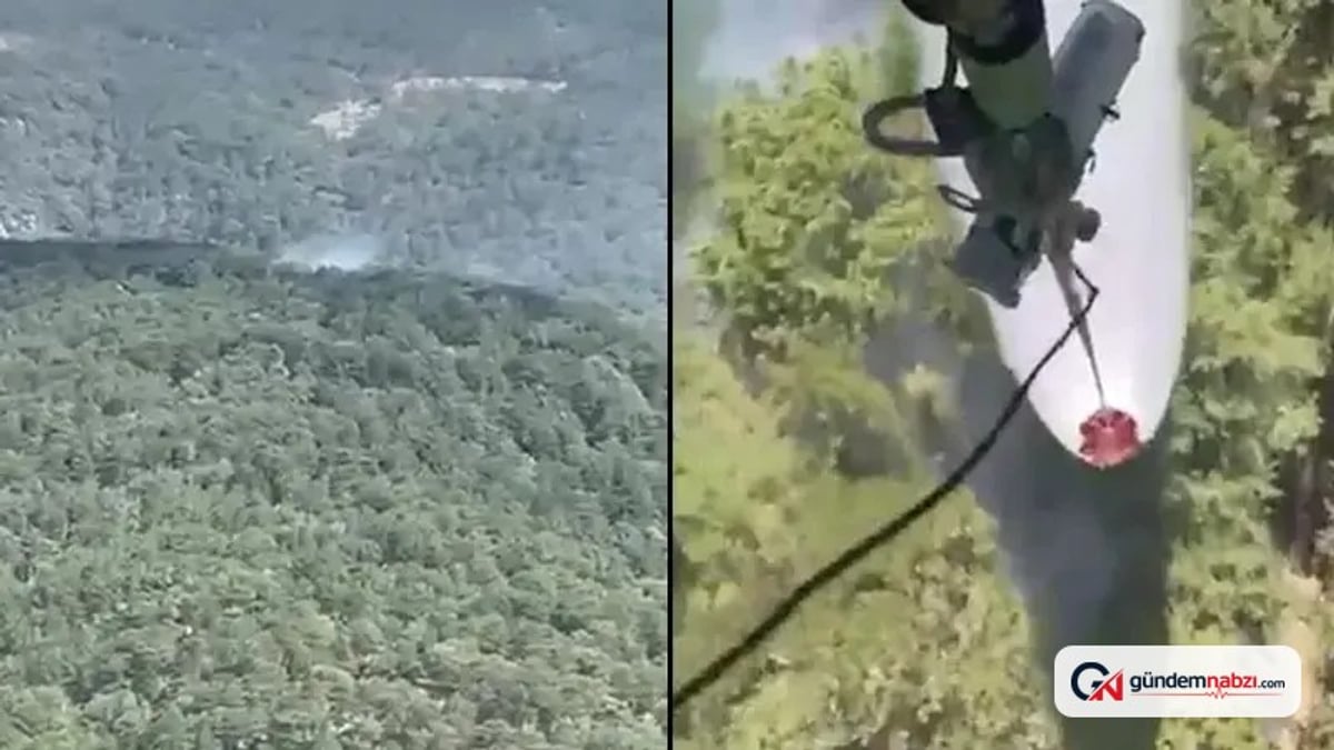 Balıkesir'in Edremit ilçesinde orman yangını çıktı