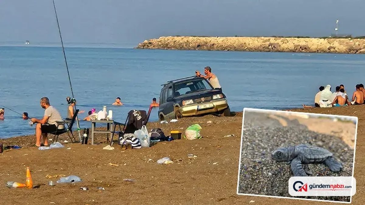 Antalya'da caretta kumsalına araçla girdiler ve çadır kurdular