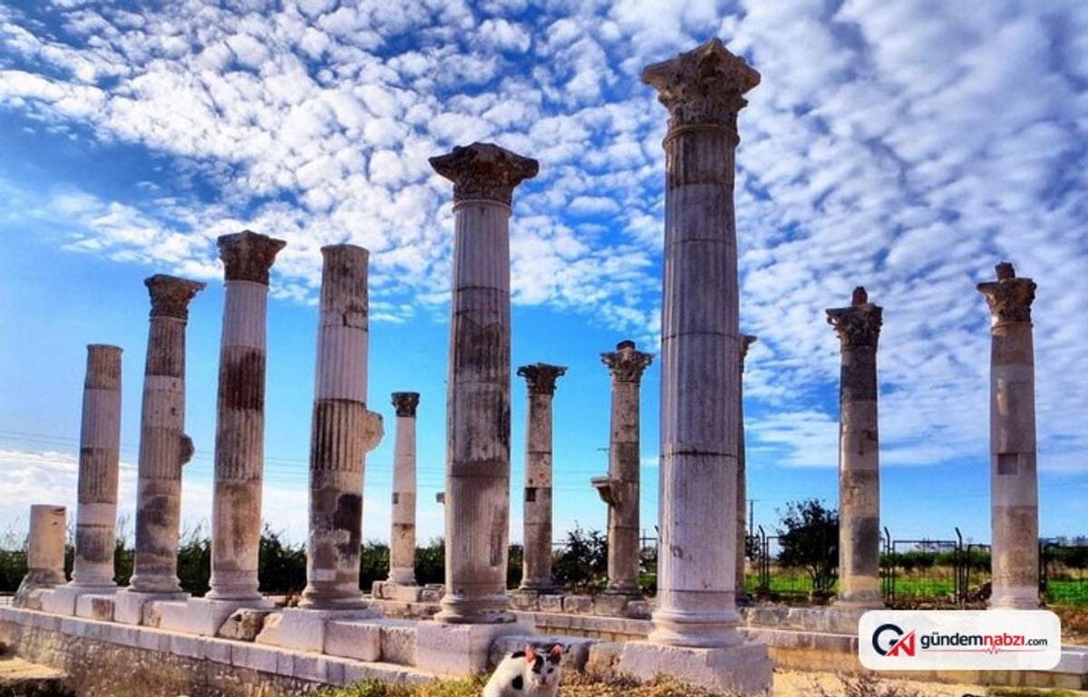 Mersin'in Mut ilçesinde orman yangını kontrol altına alındı