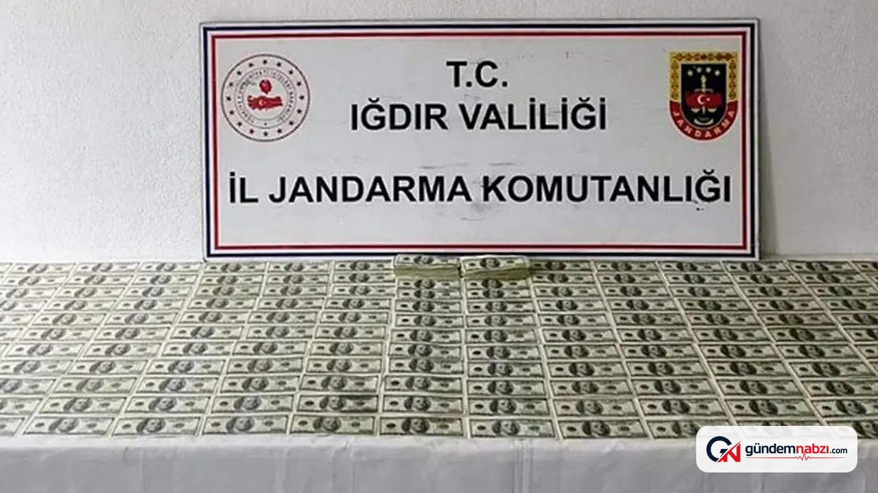 Iğdır'da sahte dolar operasyonu: 524 sahte 100 dolar ele geçirildi