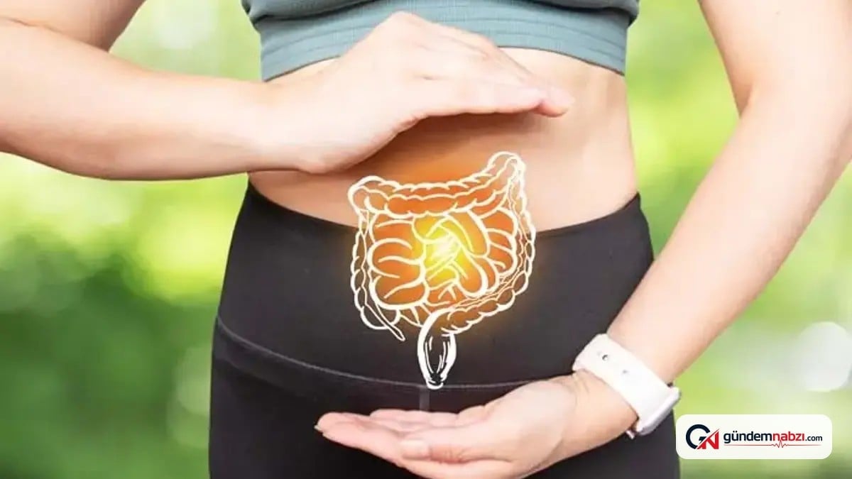 Lif bulamayan bağırsak bakterileri vücudun proteinine yöneliyor