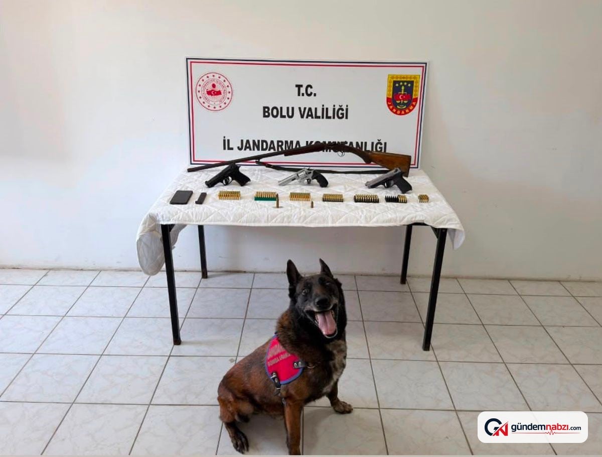 Bolu'da silah operasyonu: 1 kişi tutuklandı