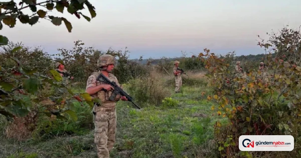 Karabük'te safran tarlalarında jandarma 24 saat nöbet tutuyor
