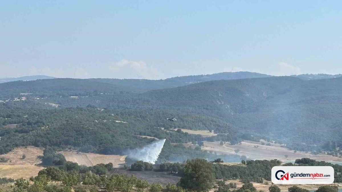 Bilecik'te ormanlık alandaki yangın kontrol altına alındı