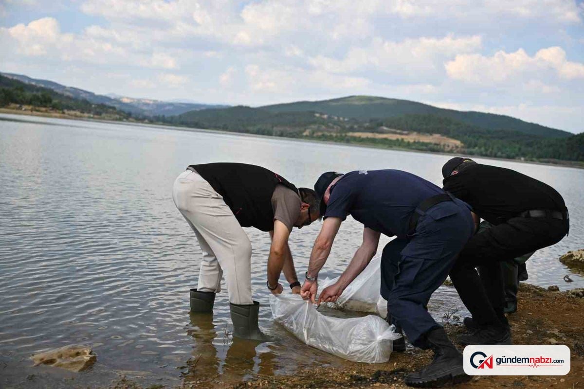 Uşak'ta Göğem Göleti'ne pullu sazan yavruları bırakıldı