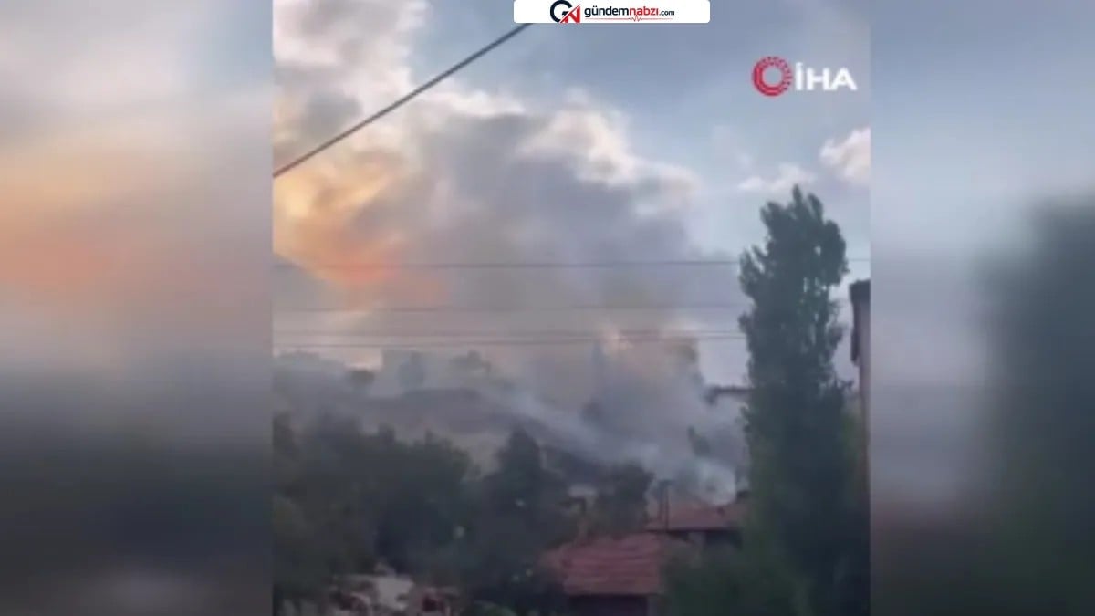 Ankara Keçiören'de ağaçlık alanda yangın çıktı