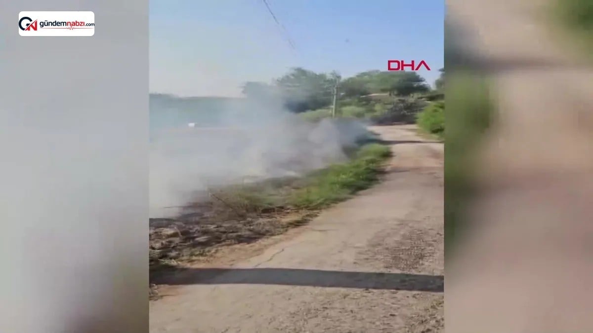 Antalya Serik'te üç mahallede zirai alan yangını çıktı