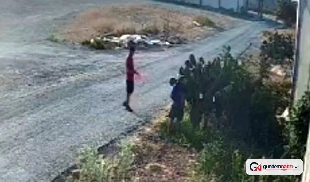 Mersin'de yazlıkçıların ürün hırsızlığı ve sahil işgali tepkisi