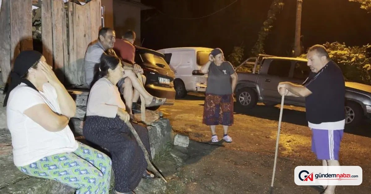 Yaban domuzları tarlaları mahvediyor, çiftçiler nöbet tutuyor
