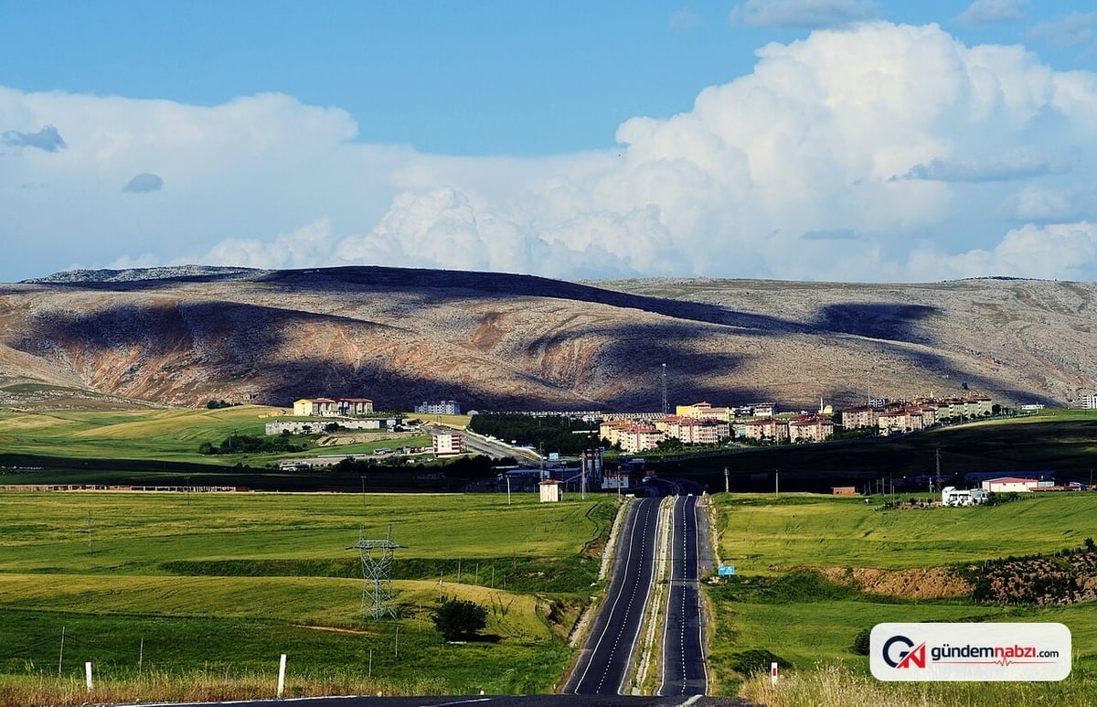 Diyarbakır Silvan'da anız ve örtü yangını çıktı