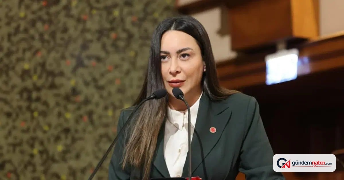 İstanbul'da suç örgütü soruşturmasında CHP'li Meclis üyesi avukat tutuklandı