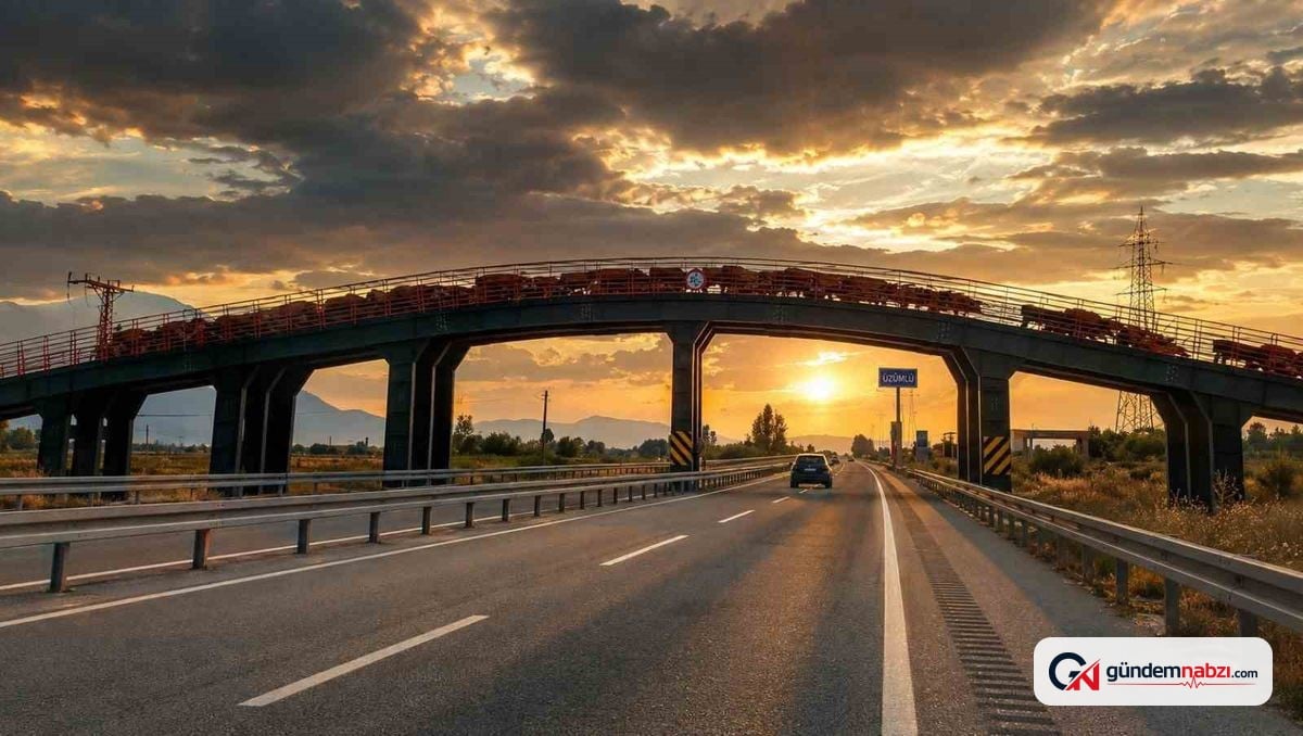 Erzincan'da yapılan ekolojik üst geçit hayvanlar için güvenli geçiş sağlıyor