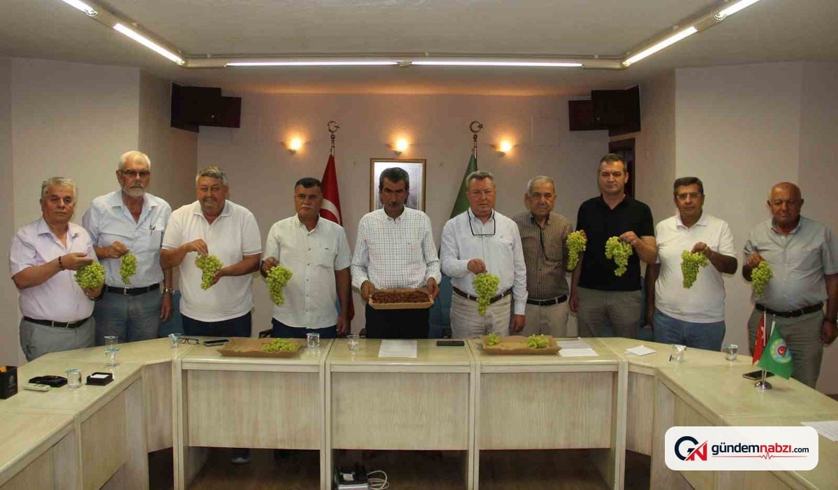 Manisa'da kuru üzüm üreticileri taban fiyatın açıklanmasını istedi