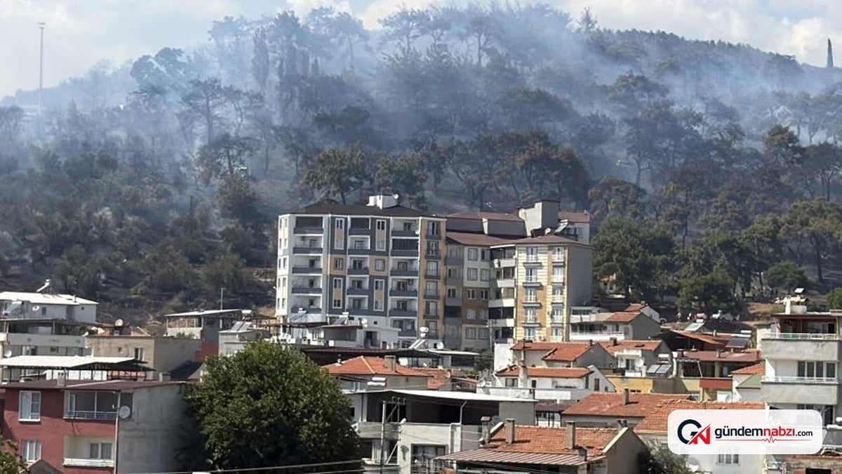 Balıkesir Edremit'te orman yangınına sebep olan kişi tutuklandı