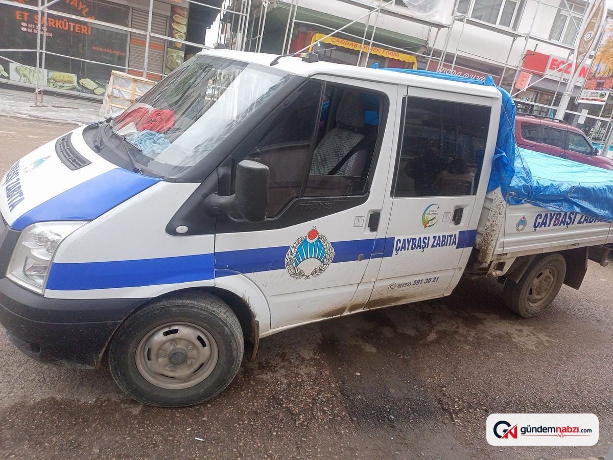 Ordu'da sokak hayvanlarını bırakan 3 şüpheli serbest bırakıldı
