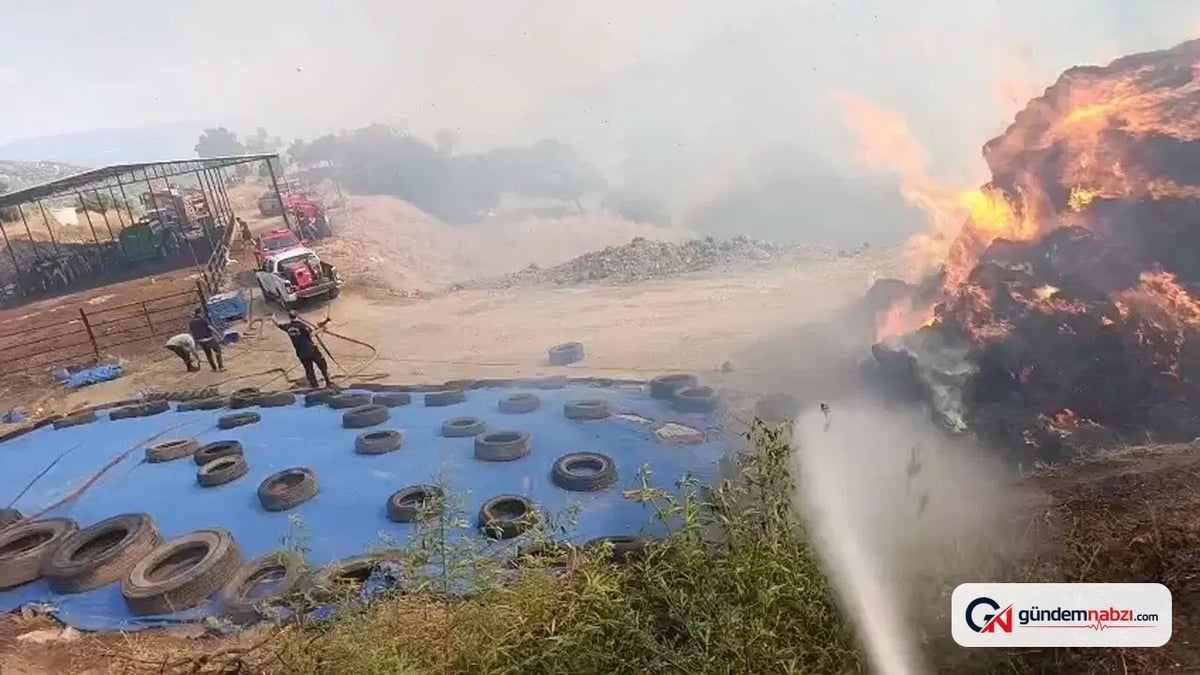Aydın'da tarım arazisinde yangın çıktı