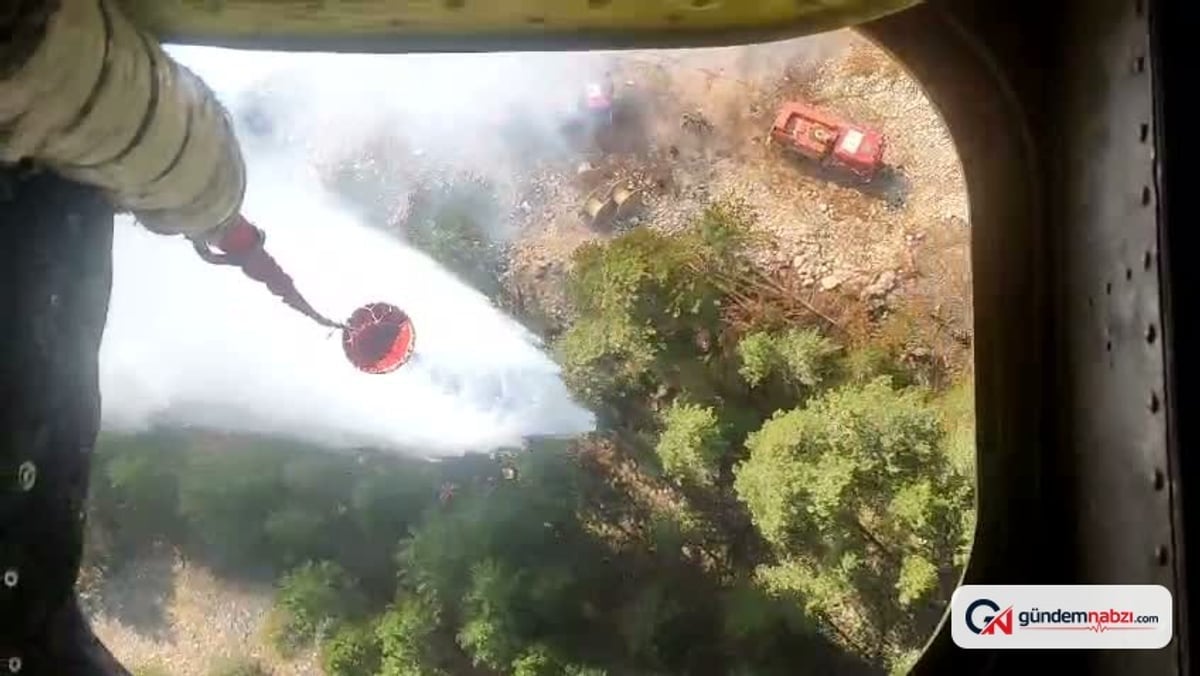 Muğla Menteşe'de orman yangını çıktı