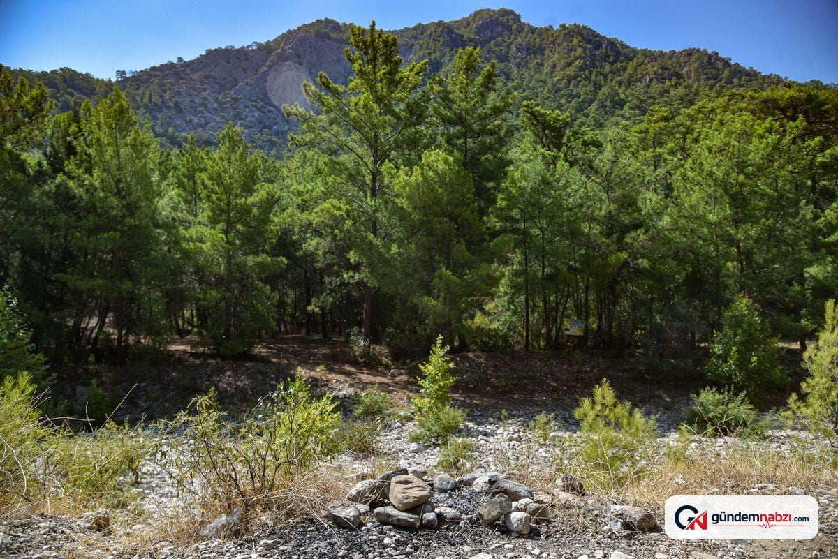 Antalya'da yasaklara rağmen ormanda mangal yapıldı