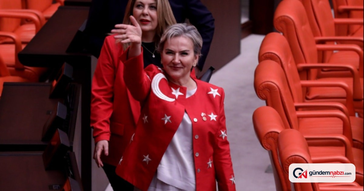 Nimet Özdemir AKP'ye geçişinin ardından sosyal medyaya döndü