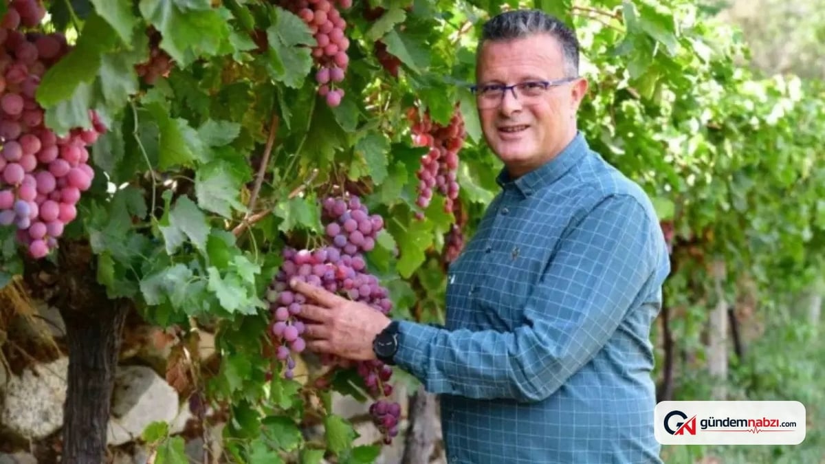 Başkan Öküzcüoğlu: Üzüm 11 TL, bu fiyatlarla geçinmek zor