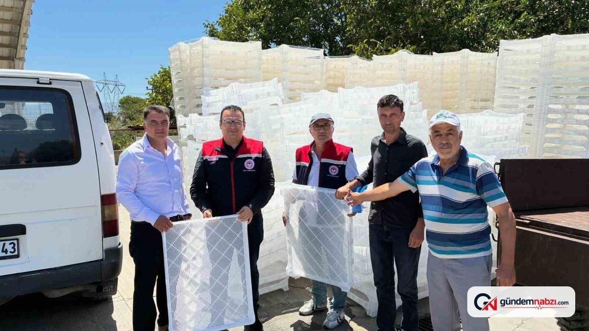 Aydın'da incir üreticilerine yüzde 50 hibeli kerevet desteği