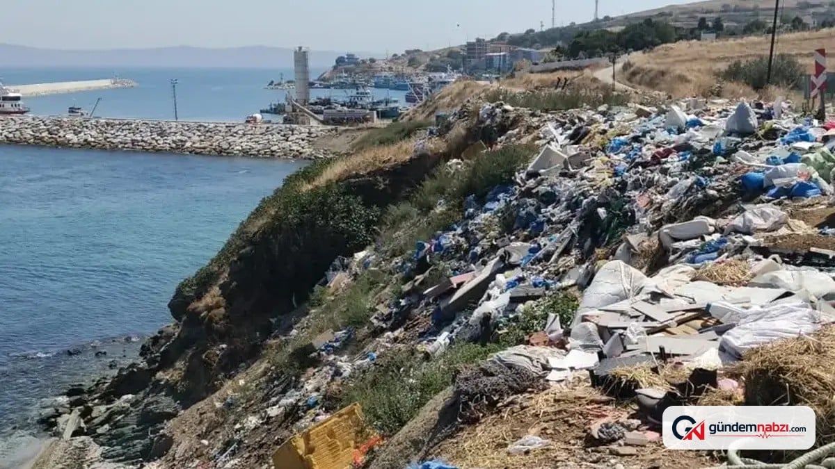 Balıkesir'de Kapıdağ Yarımadası çöplüğe döndü