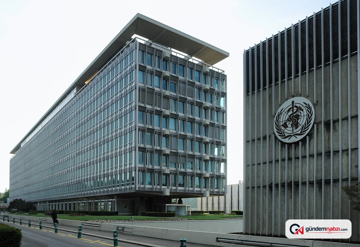 57 milyon kişiyi etkileyen demansa karşı sağlıklı yaşam alışkanlıkları