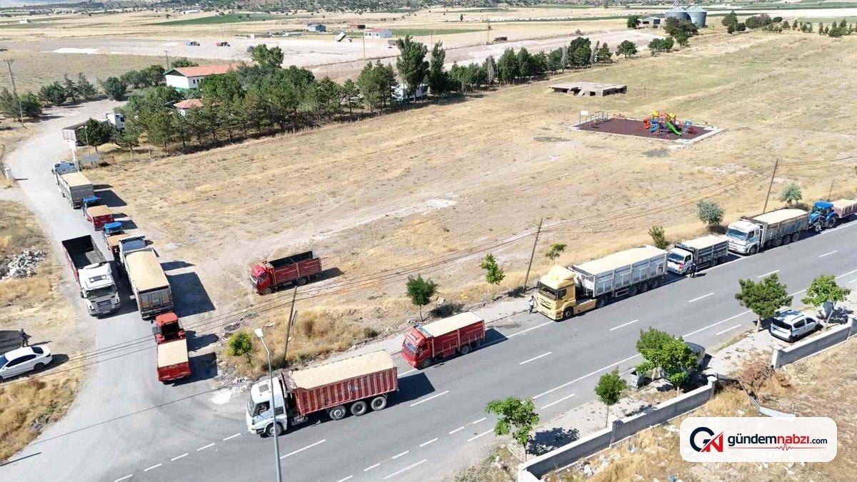 Tomarza'da TMO hububat alım süreci devam ediyor