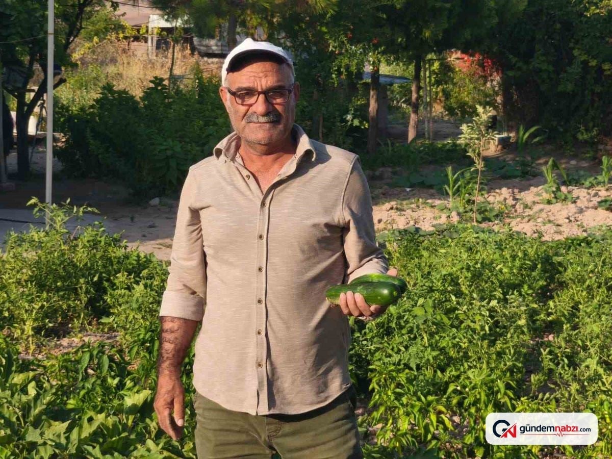 Kız kardeşinin böbreğiyle yaşama tutunan üretici, çağrıda bulundu