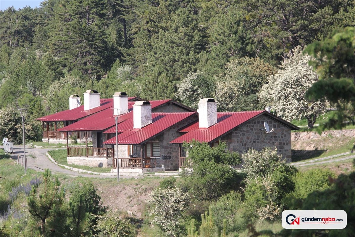 Karagöl mesire alanı'nda kamp ve çadır kurmak yasaklandı