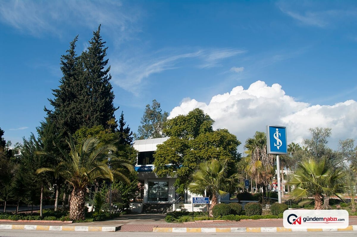 Adana'daki dev kaktüsler kentin sıcak ikliminde yetişiyor